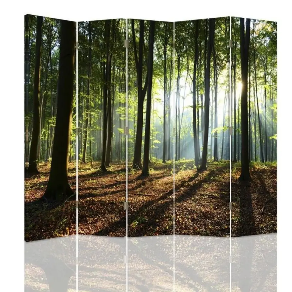 ⁨Parawan dwustronny, Promienie słońca w lesie (Rozmiar 180x170)⁩ w sklepie Wasserman.eu