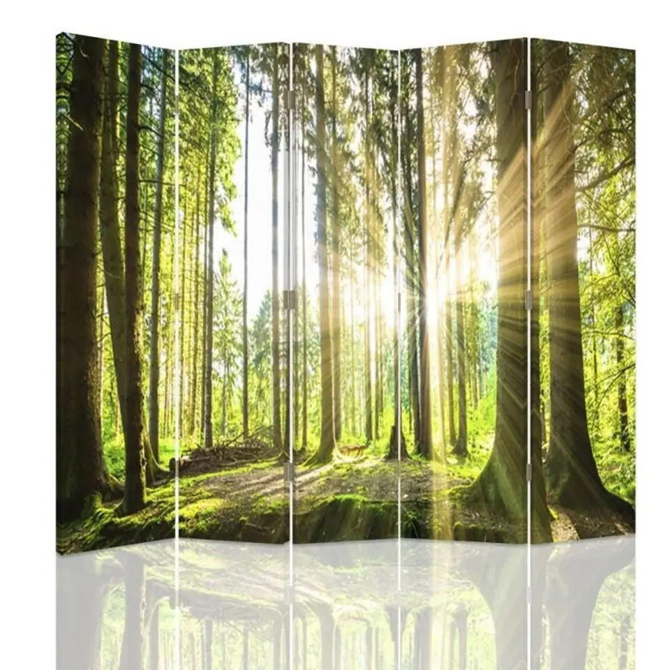 ⁨Parawan dwustronny, Słońce w lesie (Rozmiar 180x170)⁩ w sklepie Wasserman.eu
