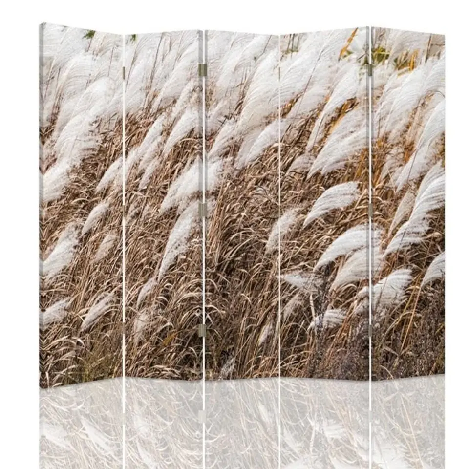 ⁨Double-sided screen, Pampas grass (Size 180x170)⁩ at Wasserman.eu