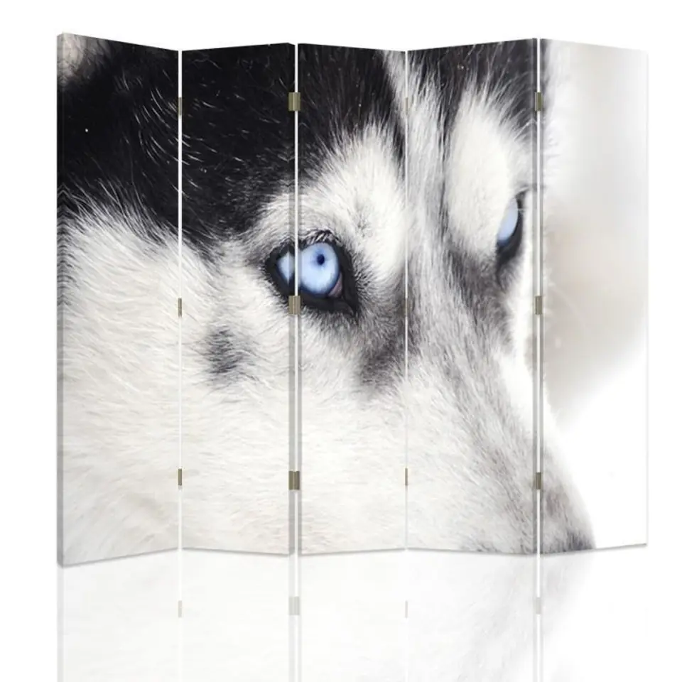 ⁨Parawan dwustronny, Syberyjski husky (Rozmiar 180x170)⁩ w sklepie Wasserman.eu