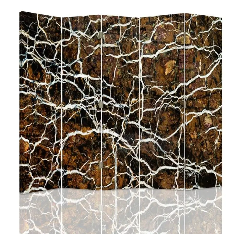 ⁨Double-sided screen, Winding roots - abstraction (Size 180x170)⁩ at Wasserman.eu