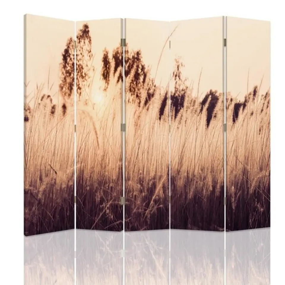 ⁨Double-sided screen, Tall grasses in sepia (Size 180x170)⁩ at Wasserman.eu