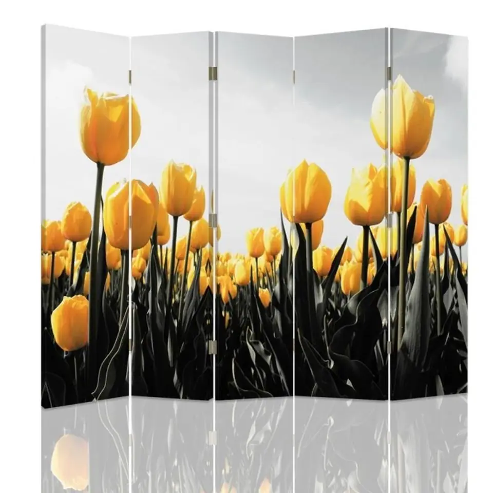 ⁨Double-sided screen, Meadow of yellow tulips (Size 180x170)⁩ at Wasserman.eu