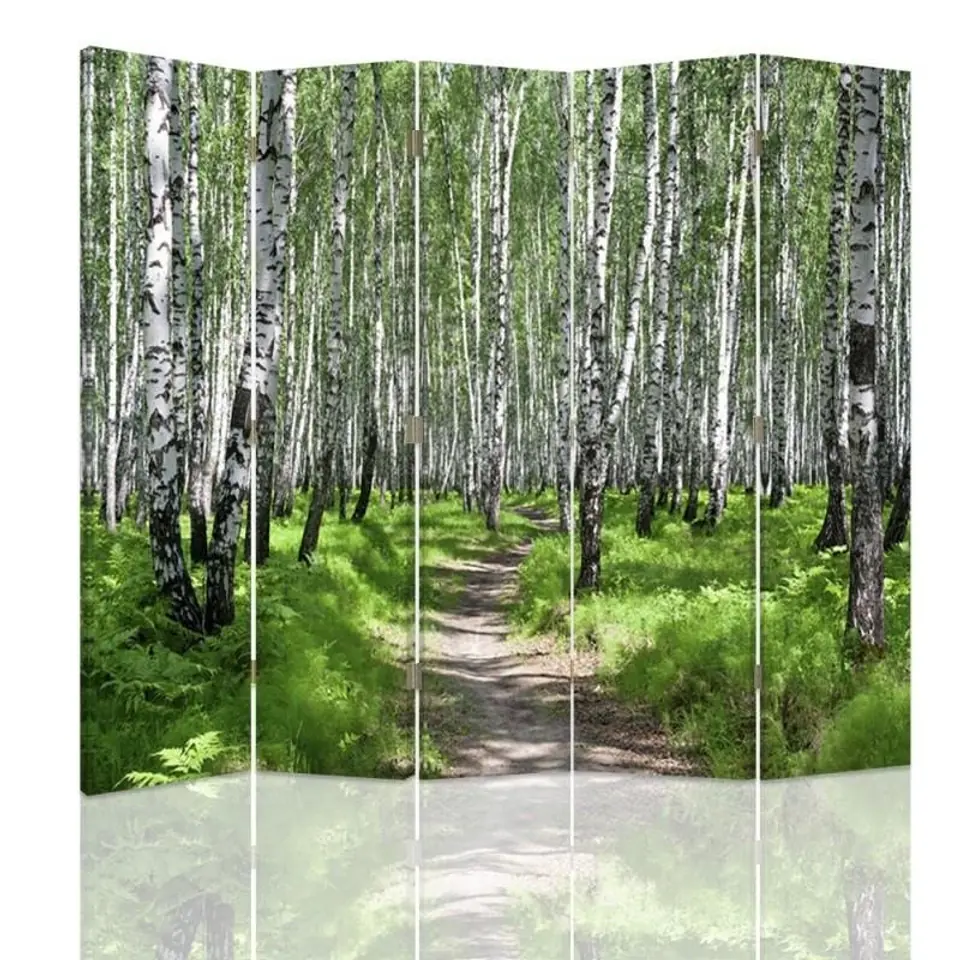 ⁨Parawan dwustronny, Ścieżka przez brzozowy las (Rozmiar 180x170)⁩ w sklepie Wasserman.eu