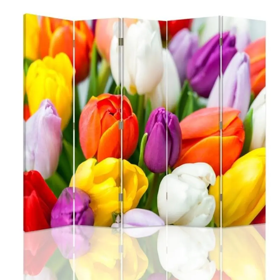 ⁨Parawan dwustronny, Kolorowe tulipany (Rozmiar 180x170)⁩ w sklepie Wasserman.eu