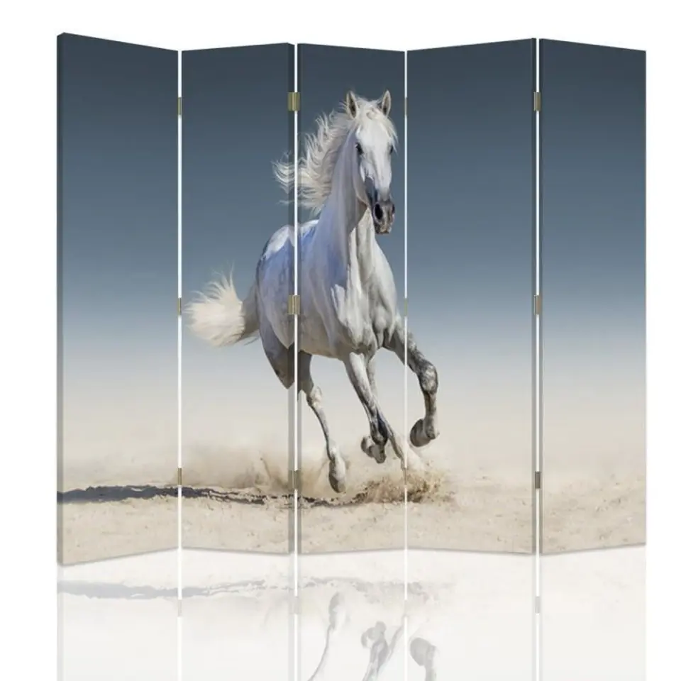 ⁨Double-sided screen, Horse running on sand (Size 180x170)⁩ at Wasserman.eu