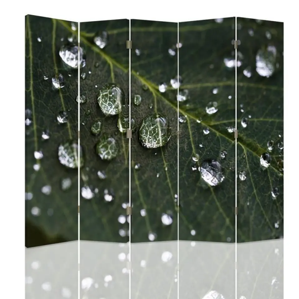 ⁨Double-sided screen, Raindrops on a leaf (Size 180x170)⁩ at Wasserman.eu