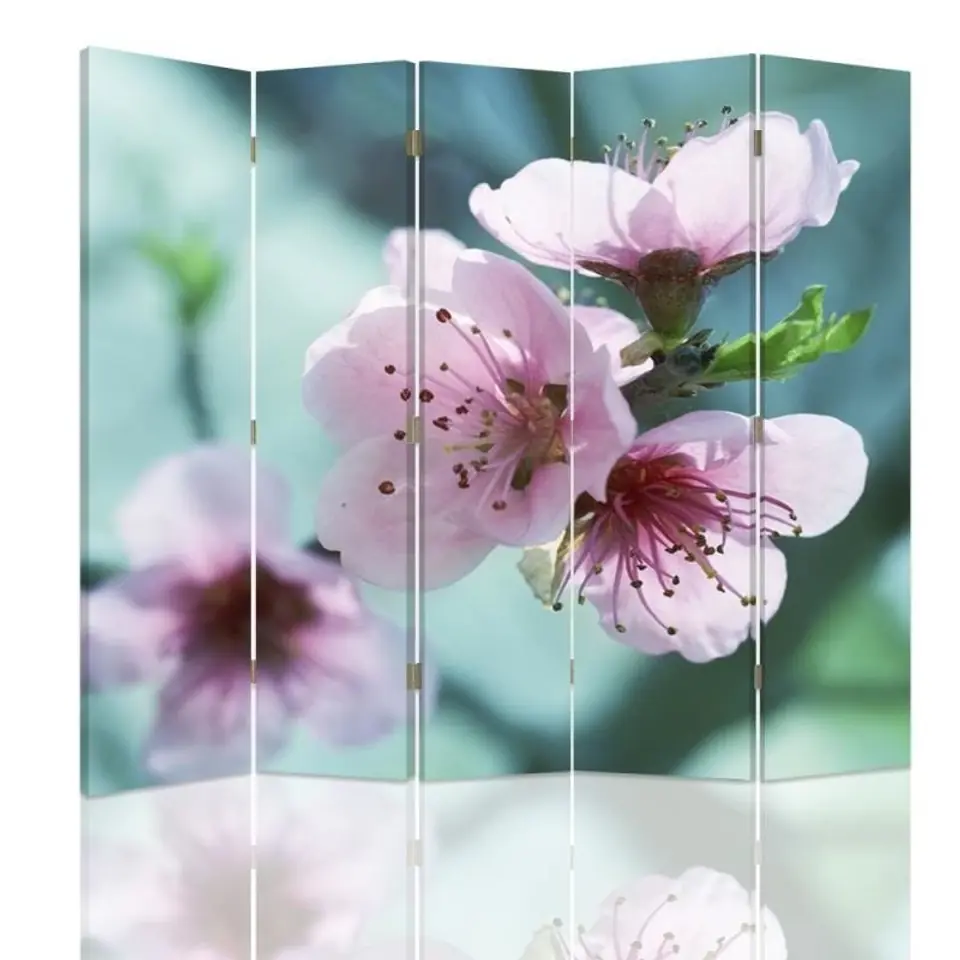 ⁨Double-sided screen, Cherry blossom in close-up (Size 180x170)⁩ at Wasserman.eu