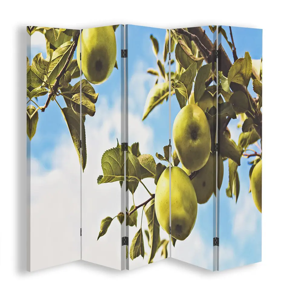 ⁨Double-sided screen, Apples on a branch (Size 180x170)⁩ at Wasserman.eu