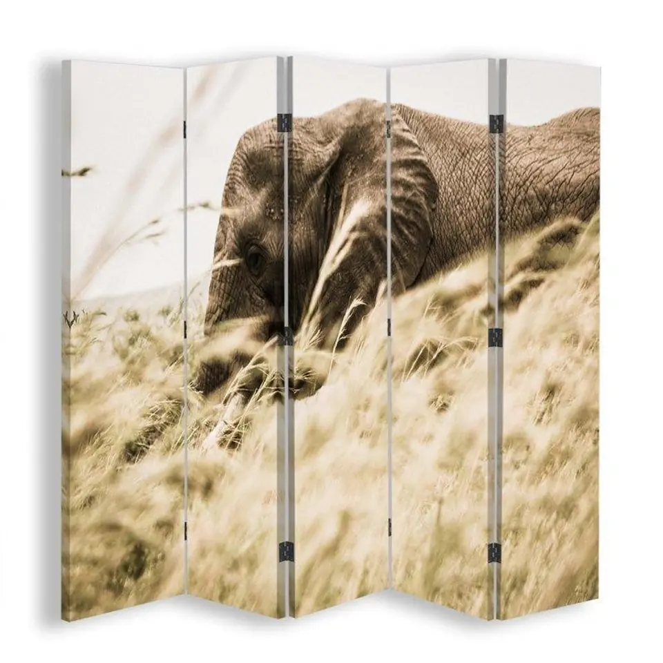 ⁨Double-sided screen, Elephant hiking (Size 180x170)⁩ at Wasserman.eu