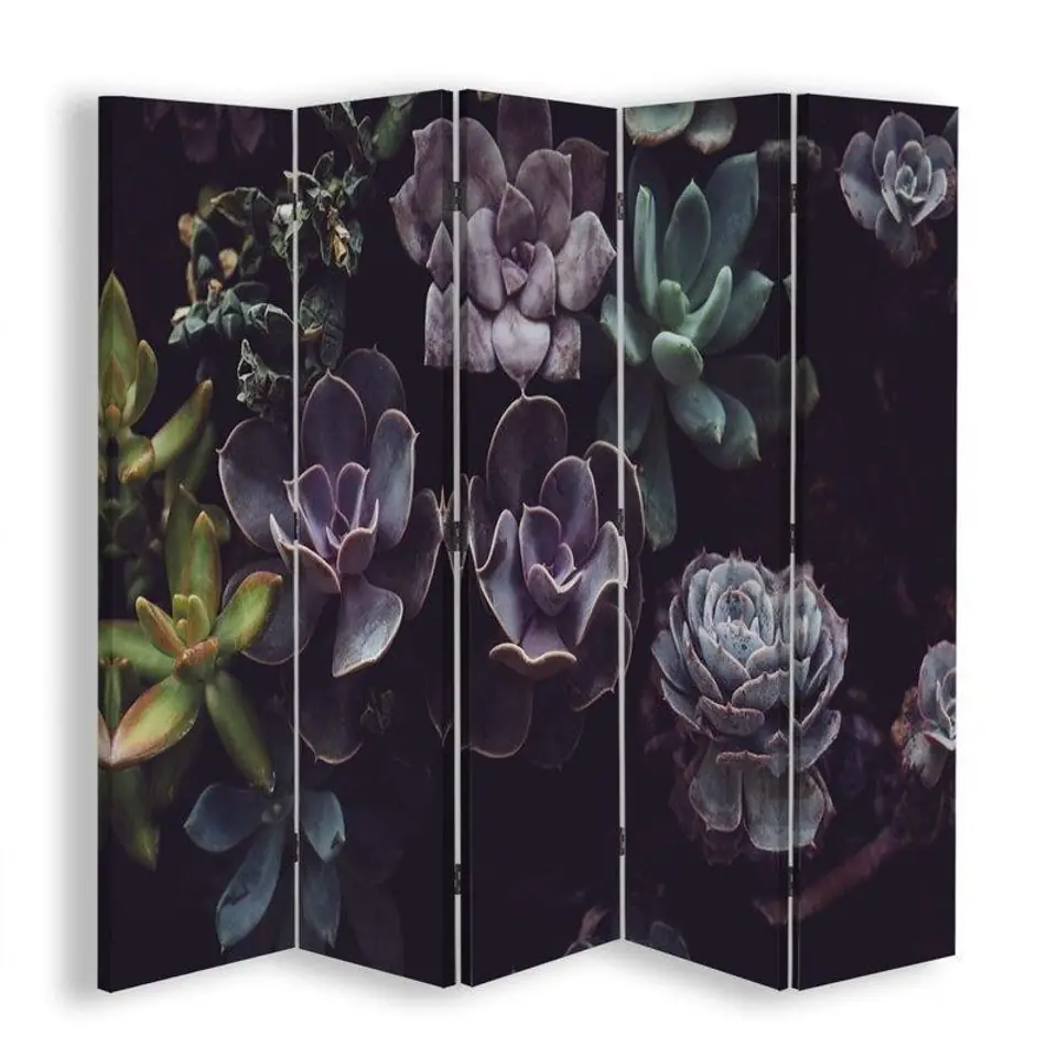 ⁨Double-sided screen, Succulents in dusty shades (Size 180x170)⁩ at Wasserman.eu