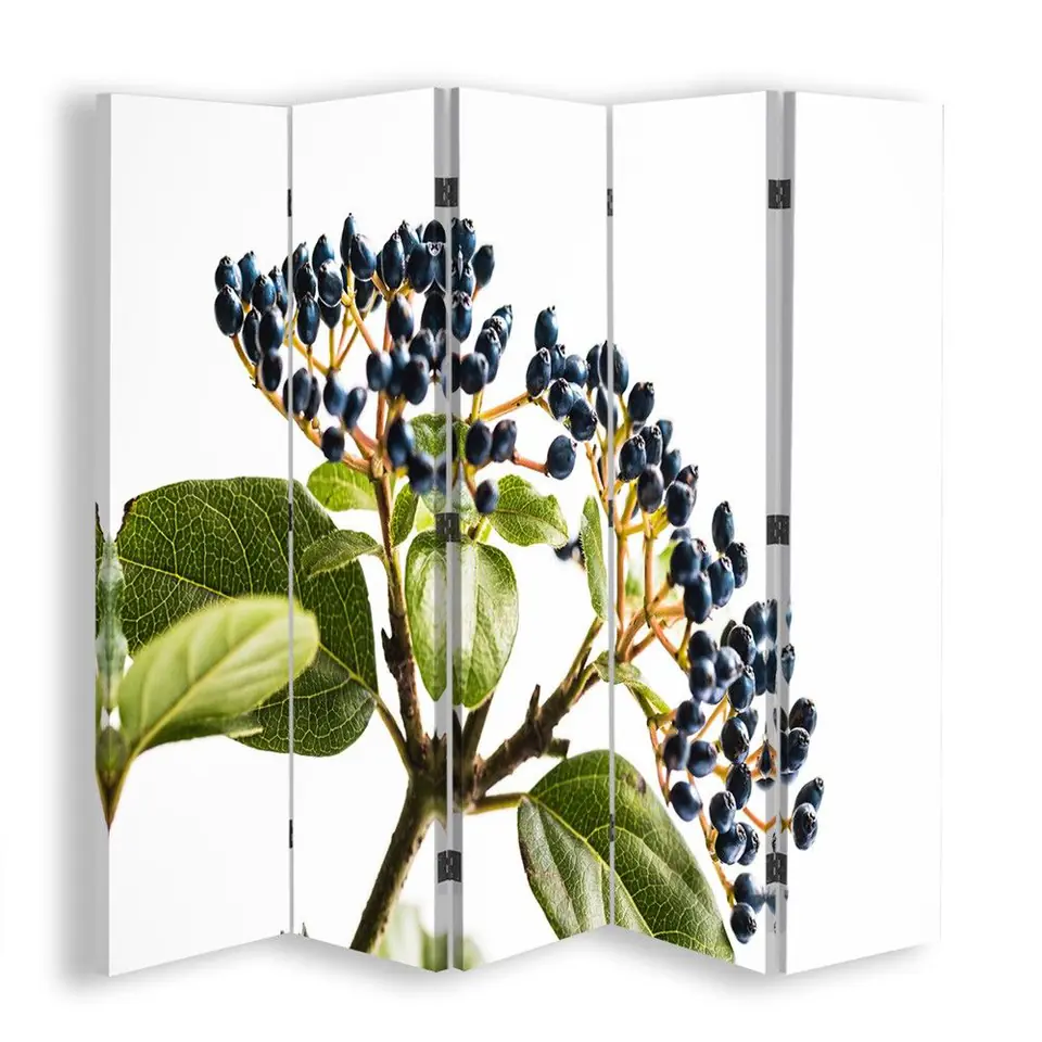 ⁨Double-sided screen, Elderberry (Size 180x170)⁩ at Wasserman.eu