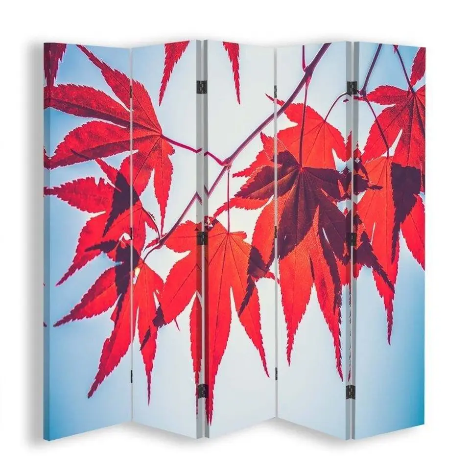 ⁨Double-sided screen, Red leaves in autumn (Size 180x170)⁩ at Wasserman.eu