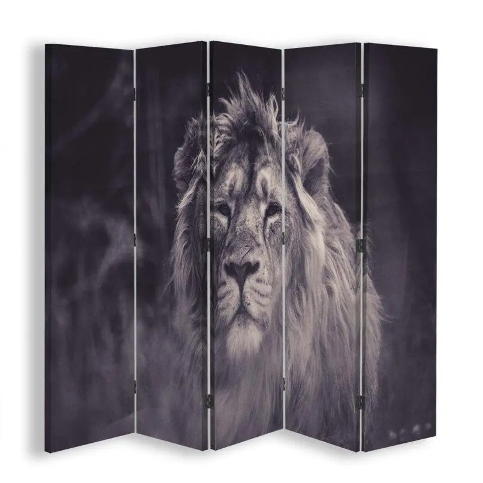 ⁨Double-sided screen, Proud lion (Size 180x170)⁩ at Wasserman.eu