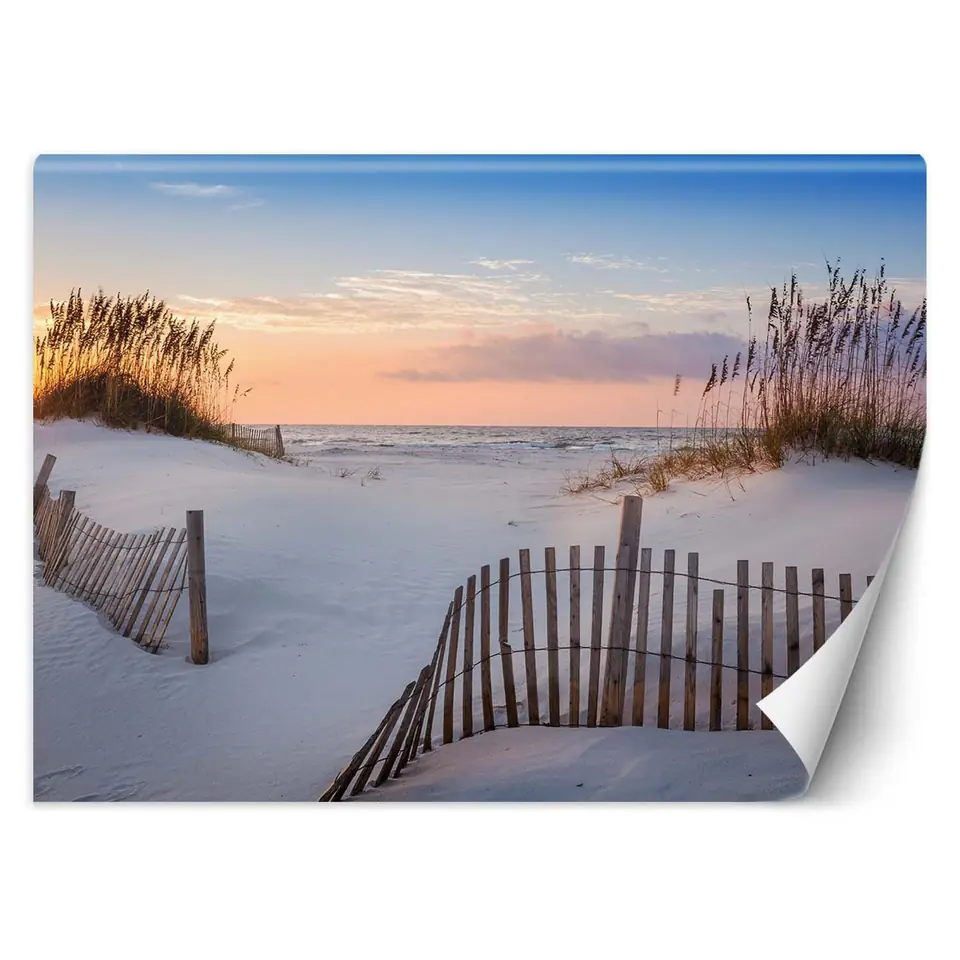 ⁨Fototapeta, Plaża nad Bałtykiem (Rozmiar 350x245)⁩ w sklepie Wasserman.eu