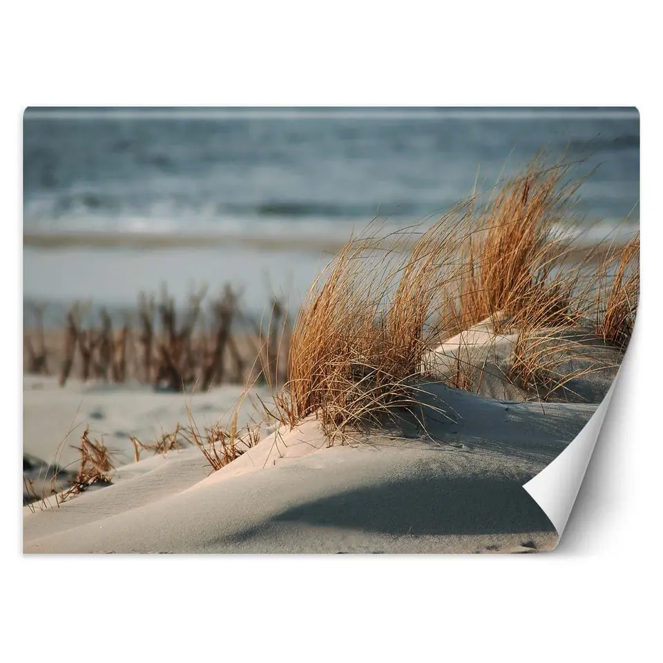 ⁨Wall mural, Dunes by the Baltic Sea (Size 350x245)⁩ at Wasserman.eu