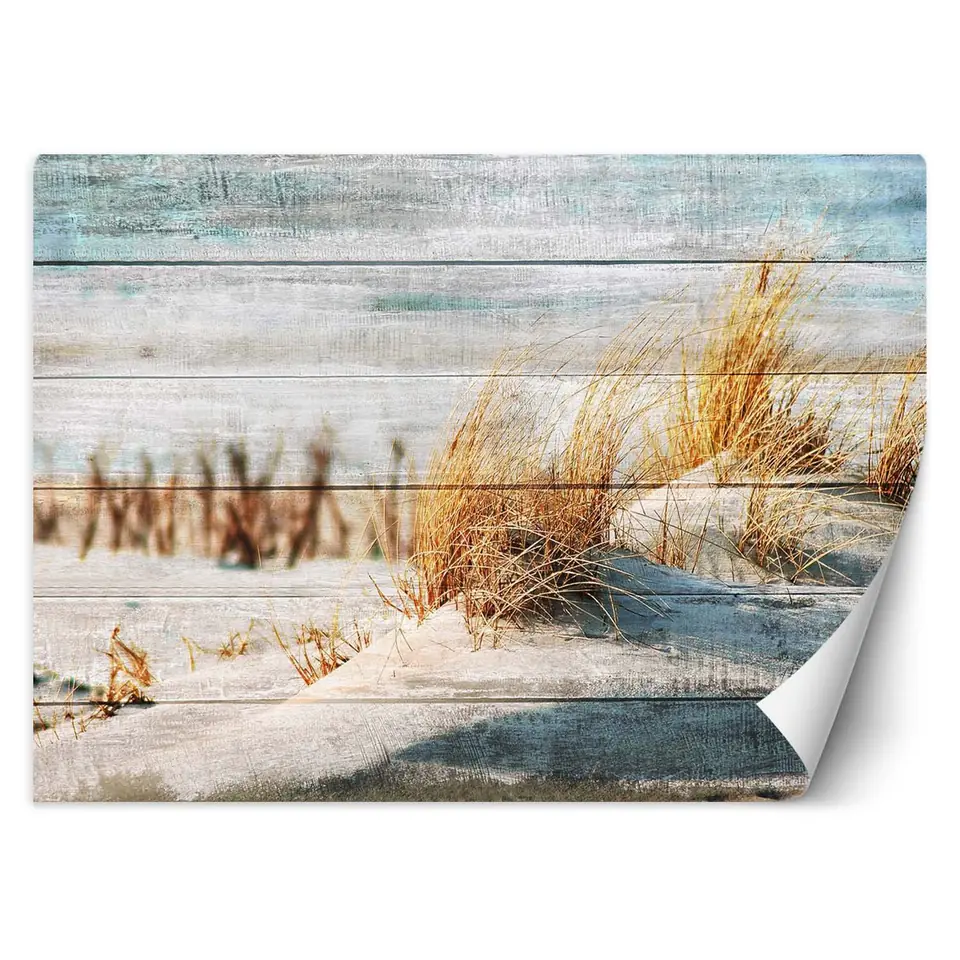 ⁨Fototapeta, Wydmy plaża na drewnie (Rozmiar 400x280)⁩ w sklepie Wasserman.eu