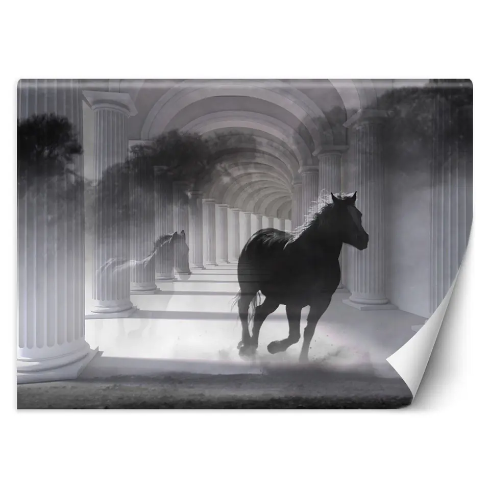 ⁨Wall mural, Running horse, 3D effect (Size 100x70)⁩ at Wasserman.eu