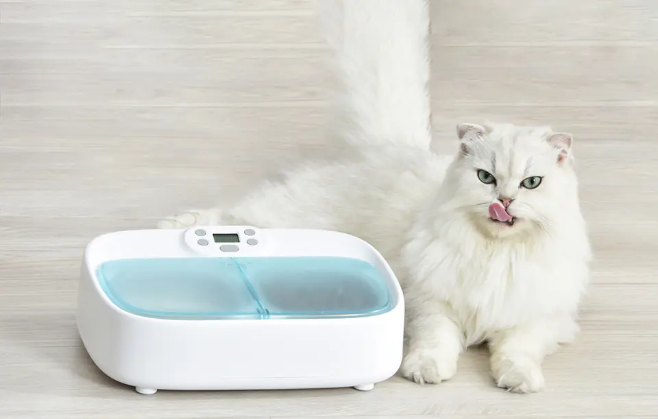 ⁨Miska PETONEER Two-Meal Feeder 2-komorowa (chłodząca)⁩ w sklepie Wasserman.eu