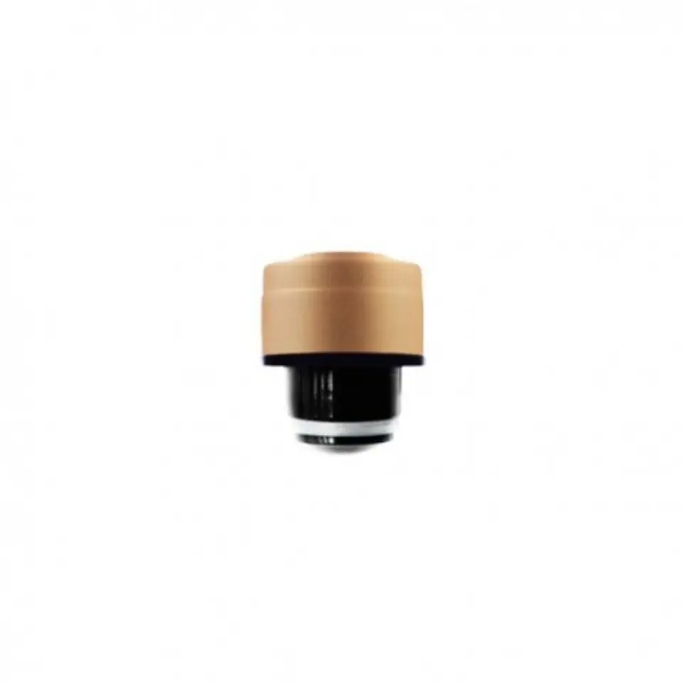 ⁨Cool bottles screw cap 260-350-500 ml metallic gold⁩ at Wasserman.eu