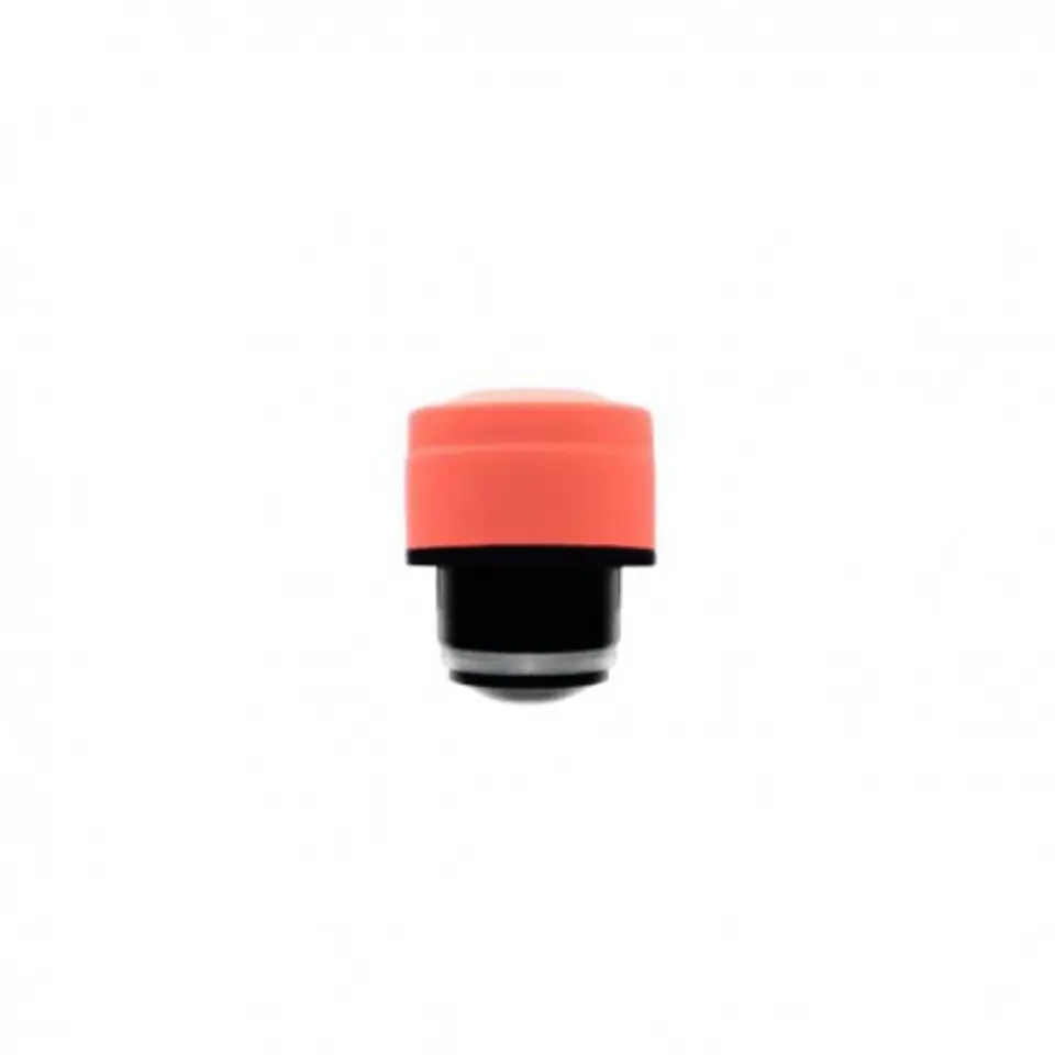 ⁨Cool bottles screw cap 260-350-500 ml pastel coral⁩ at Wasserman.eu