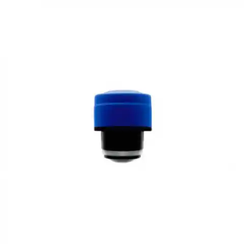 ⁨Cool bottles screw cap 260-350-500 ml vivid blue⁩ at Wasserman.eu