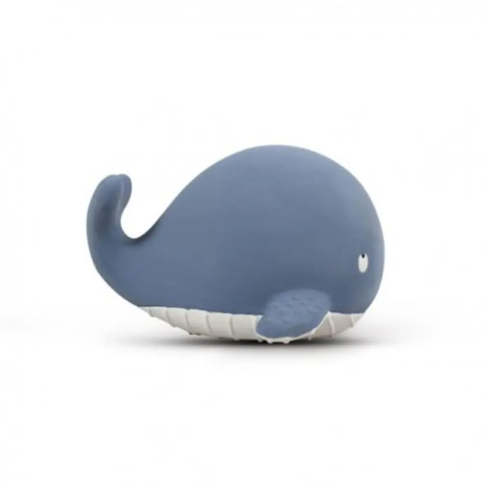 ⁨Filibabba sensory teether whale christian⁩ at Wasserman.eu