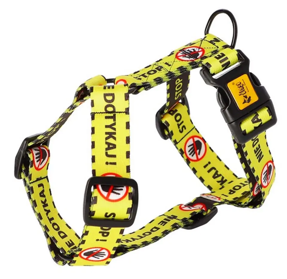 ⁨Dingo Double Strap Guard City - Do Not Touch Size M⁩ at Wasserman.eu