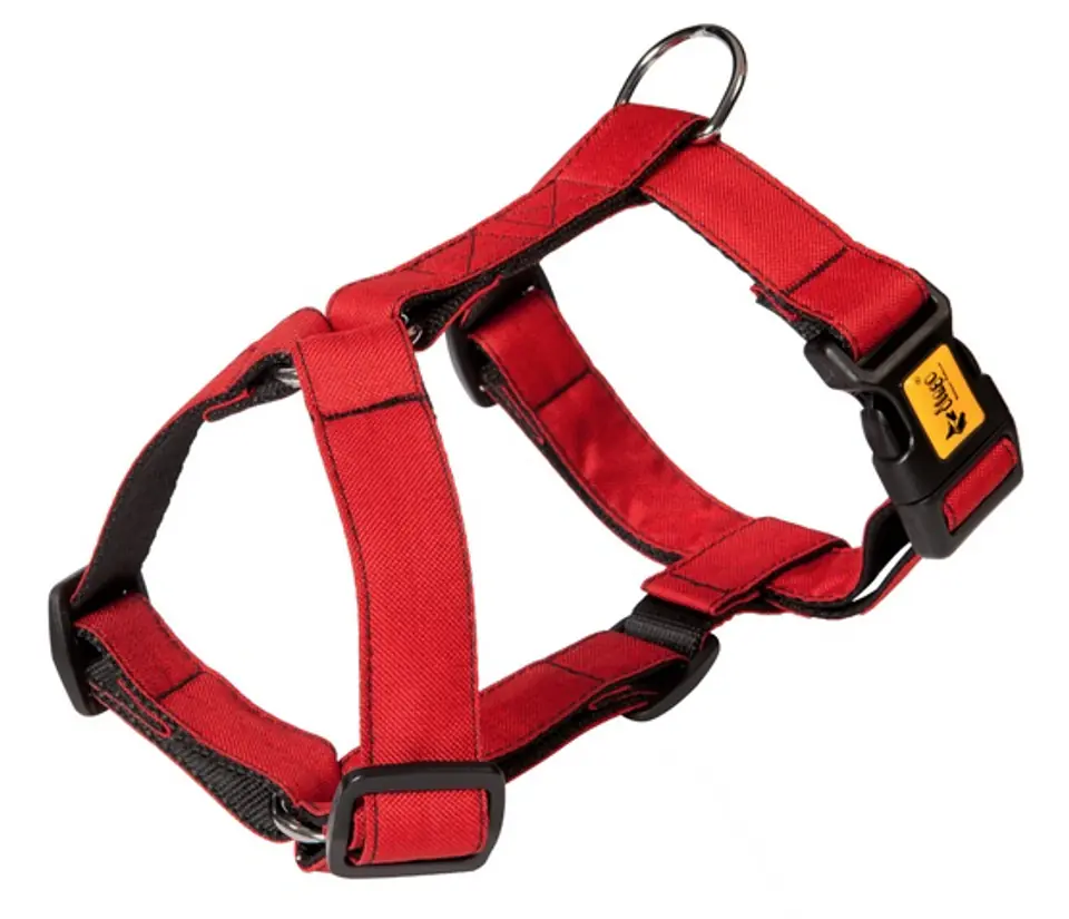 ⁨Dingo Guard harness Scandi two straps 3cm size M red⁩ at Wasserman.eu