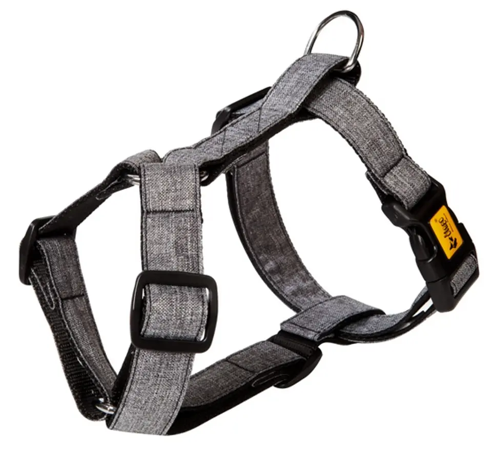 ⁨Dingo Guard harness two straps Scandi 3cm size L grey⁩ at Wasserman.eu