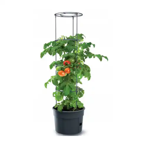 ⁨Tomato Grower Pot IPOM300⁩ at Wasserman.eu