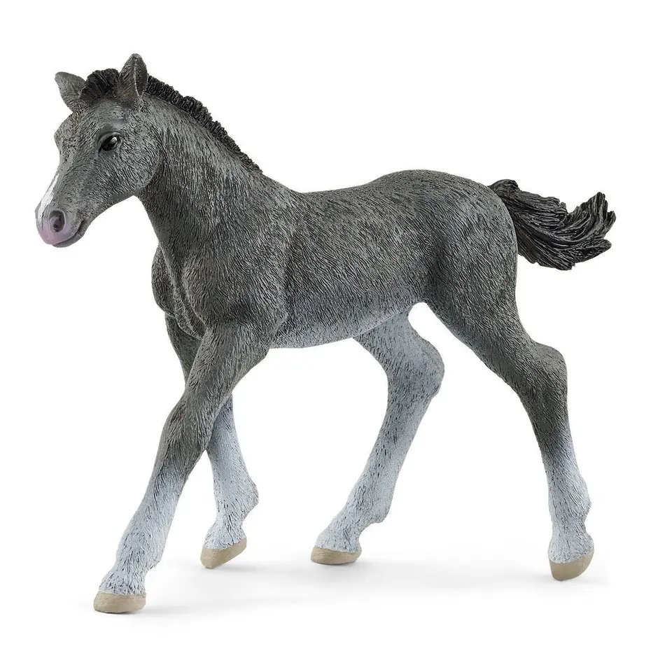 ⁨Figure foal of the Trakehner breed Horse Club⁩ at Wasserman.eu