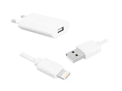 ⁨USB Wall Charger + IPHONE 8PIN cable, 1m. (1LM)⁩ at Wasserman.eu