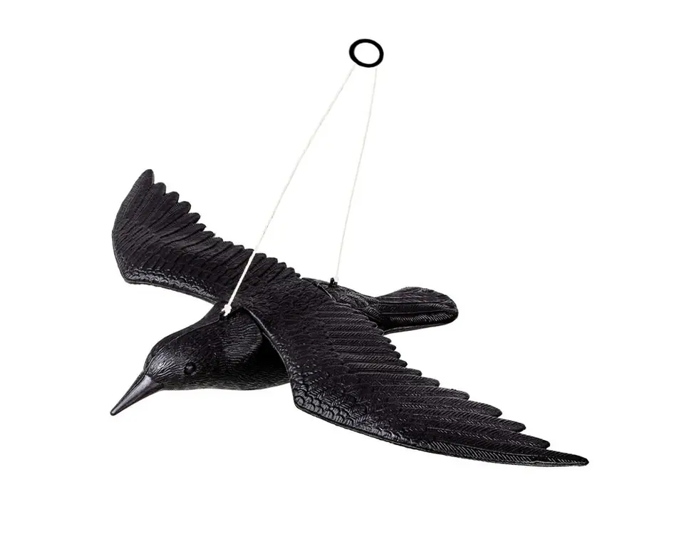 AG384D Flying Raven Bird Repeller at Wasserman.eu