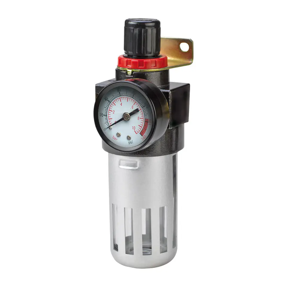 ⁨Reducer with pressure gauge and filter 1/4", proline⁩ at Wasserman.eu