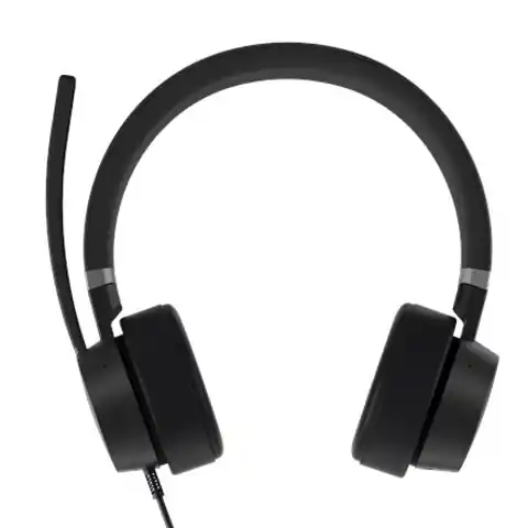 ⁨LENOVO headphones 2 m USB plug⁩ at Wasserman.eu