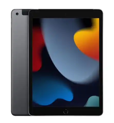⁨iPad 10.2 cala  Wi-Fi + Cellular 256GB - Gwiezdna szarość⁩ w sklepie Wasserman.eu