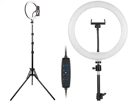 ⁨Ring lamp TRACER RING 30cm with tripod 210cm⁩ at Wasserman.eu