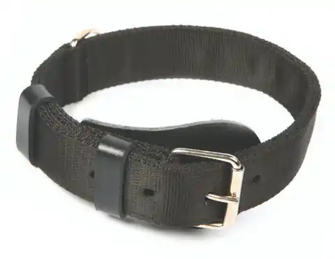 ⁨Dingo Special collar 4,0x65-75cm black⁩ at Wasserman.eu