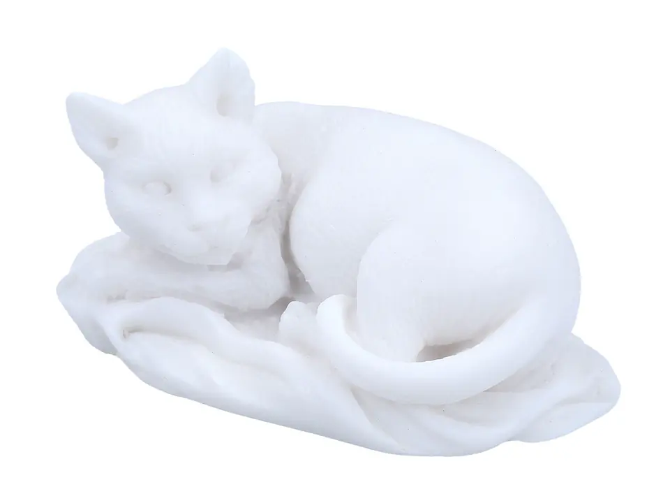 ⁨Cat⁩ at Wasserman.eu
