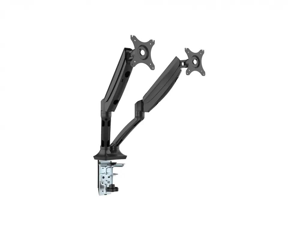 ACME DLB502D DUAL monit or arm 17-30 at Wasserman.eu