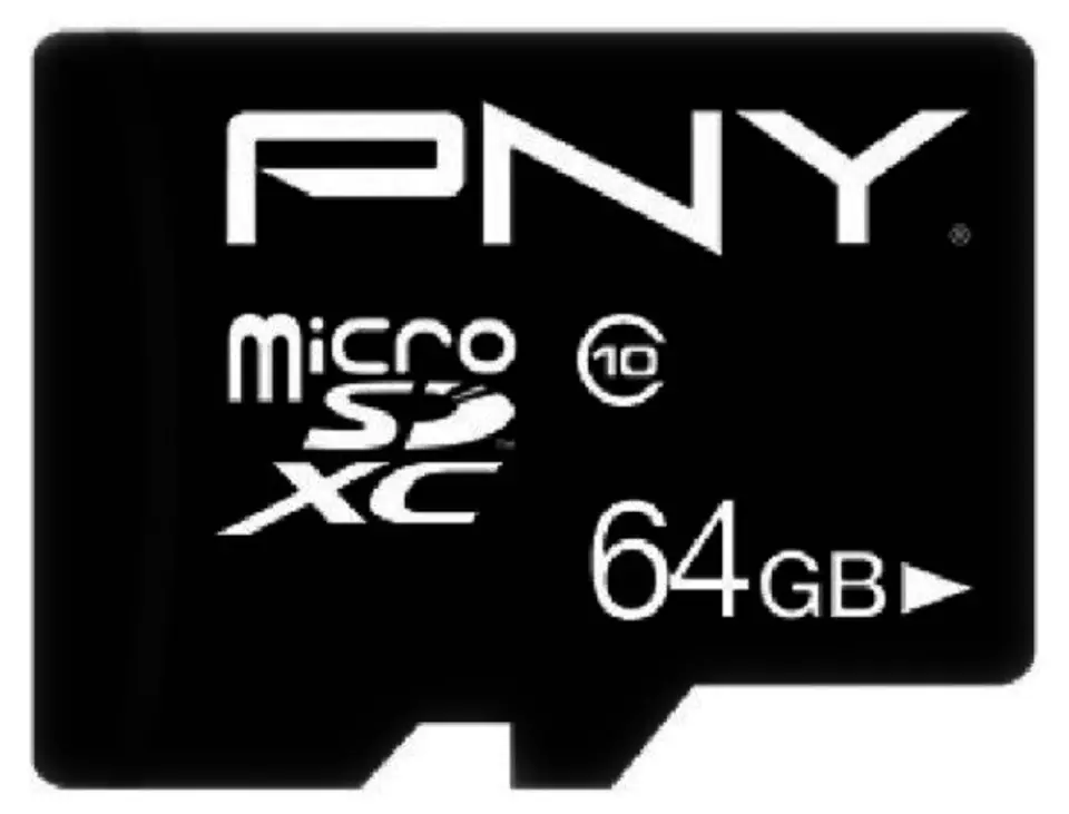 MicroSDHC card 64GB P-SDU64G10PPL-GE at Wasserman.eu