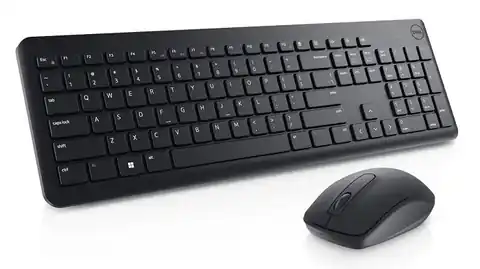 ⁨DELL 580-AKFZ keyboard and mouse set⁩ at Wasserman.eu