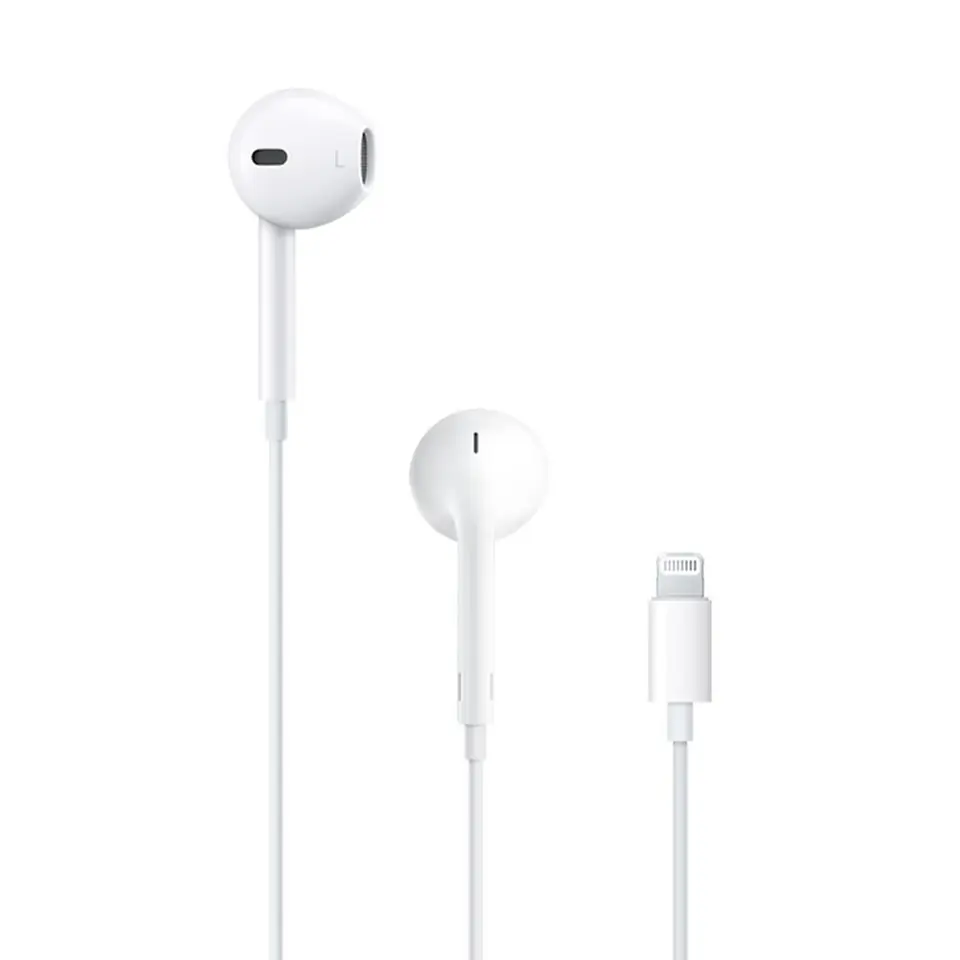 ⁨Headphones with microphone APPLE Lightning plug⁩ at Wasserman.eu