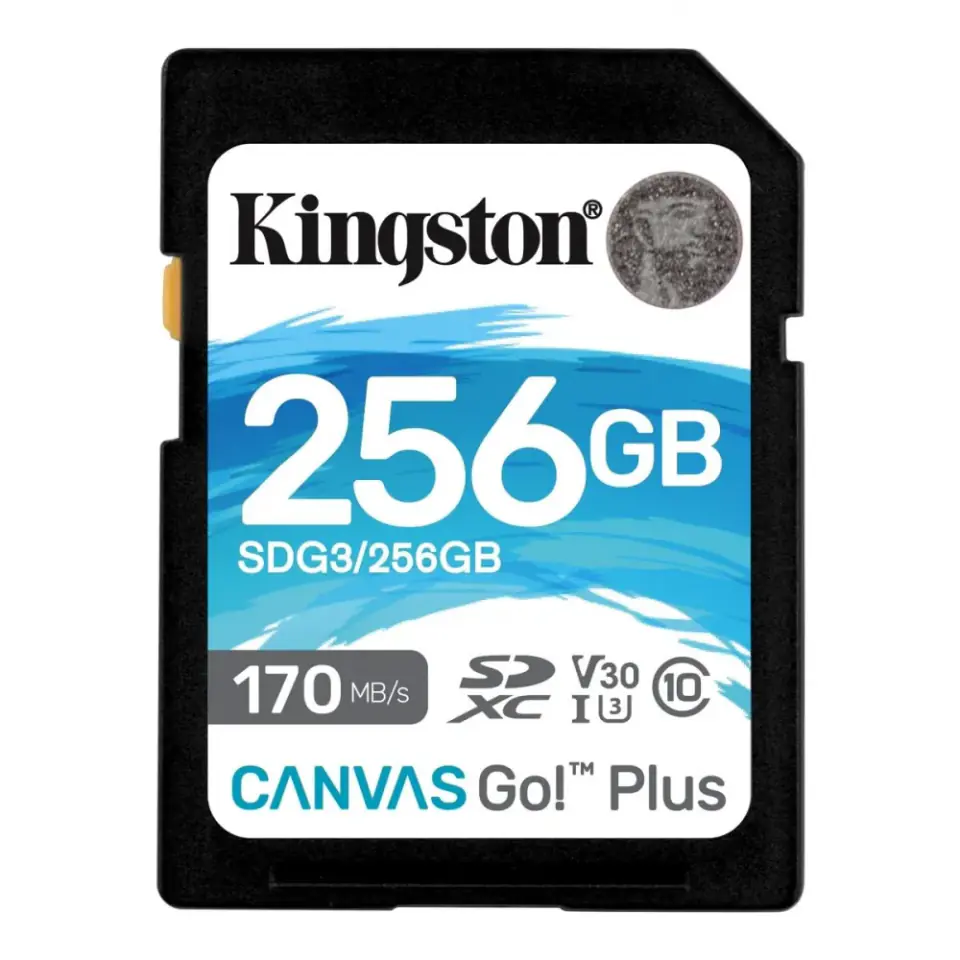 ⁨Karta pamięci KINGSTON 256 GB⁩ w sklepie Wasserman.eu