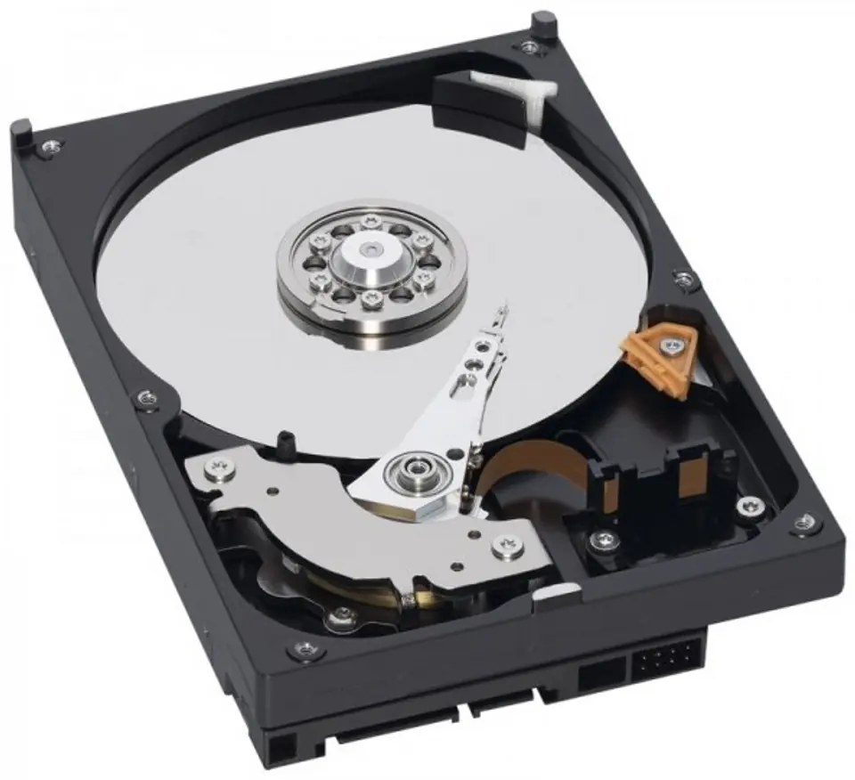Western Digital Blue 3.5" 1000 GB Serial ATA III at Wasserman.eu