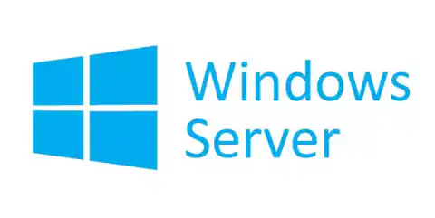 ⁨Microsoft Windows Server CAL 2022 Client Access License (CAL) 1 license(s)⁩ at Wasserman.eu