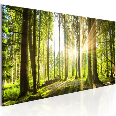 ⁨Picture - Glow of the day (size 120x40)⁩ at Wasserman.eu