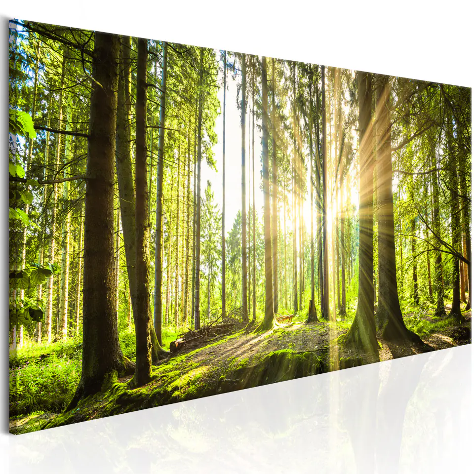 ⁨Picture - Glow of the day (size 120x40)⁩ at Wasserman.eu