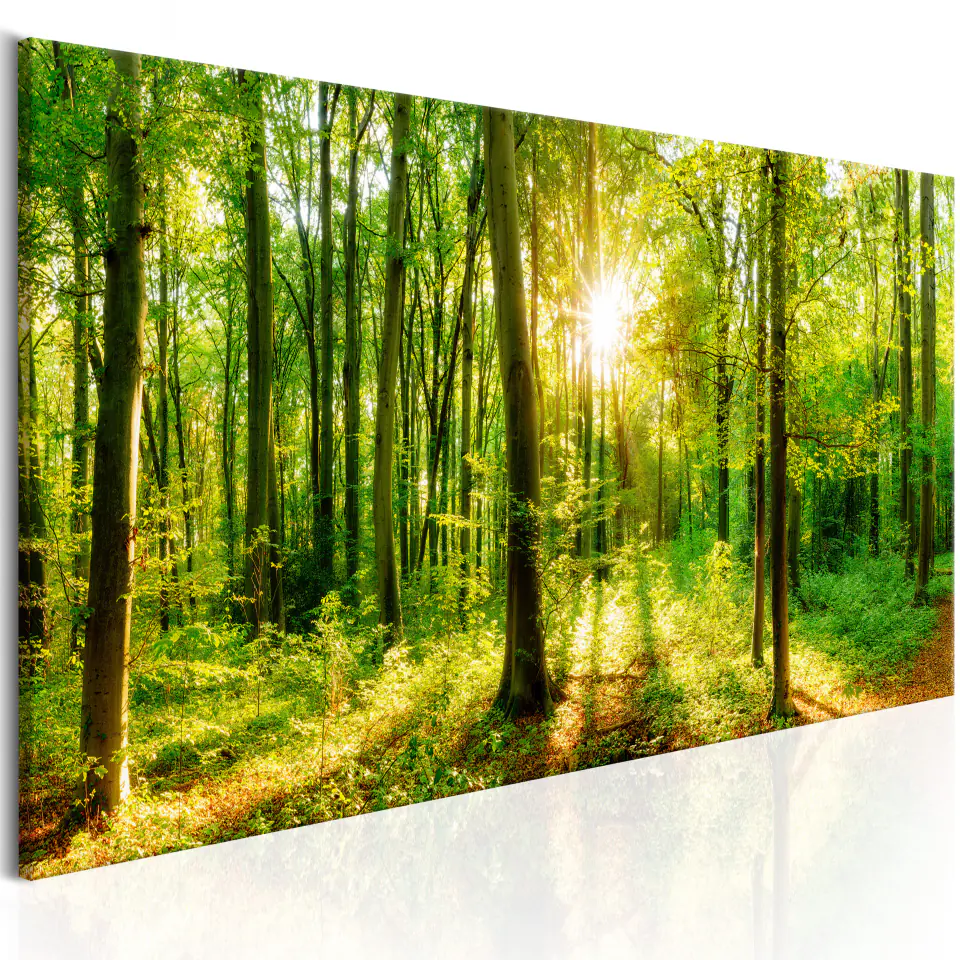 ⁨Picture - Green Magic (size 150x50)⁩ at Wasserman.eu